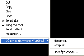 Контекстное меню редактирования вставленного документа